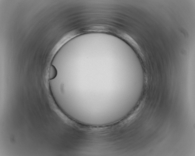 X0000115551378200911061118