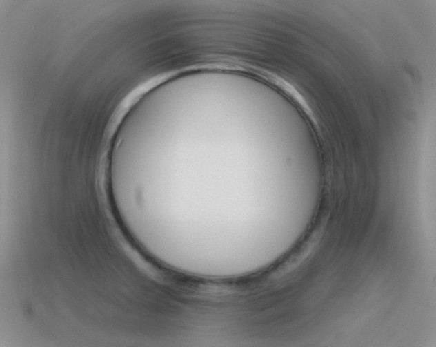 X0000115551379200911061118