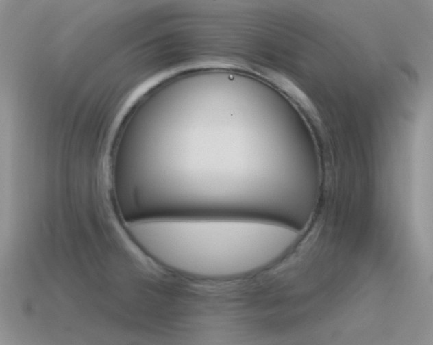 X0000115551380200911061118