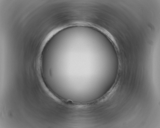 X0000115551381200911061118