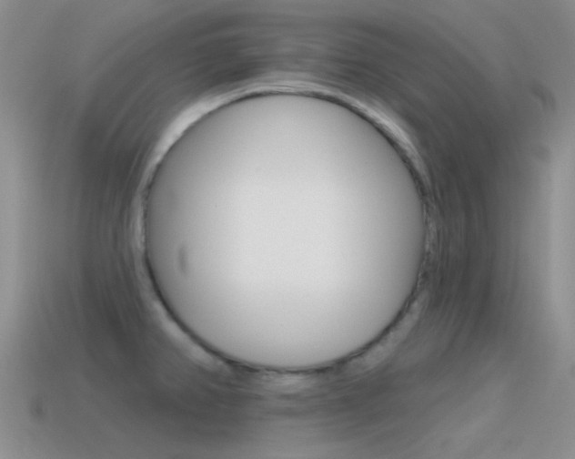 X0000115551382200911061118