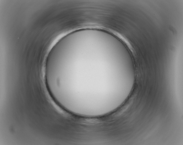 X0000115551383200911061118