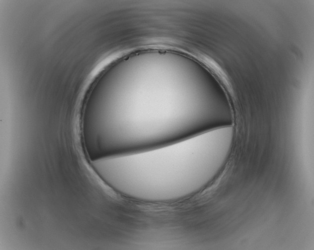X0000115551384200911061118