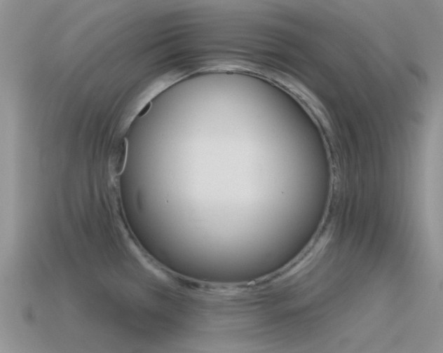 X0000115551385200911061118