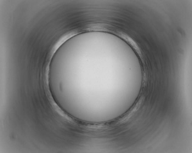 X0000115551386200911061118