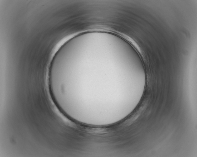 X0000115551387200911061118