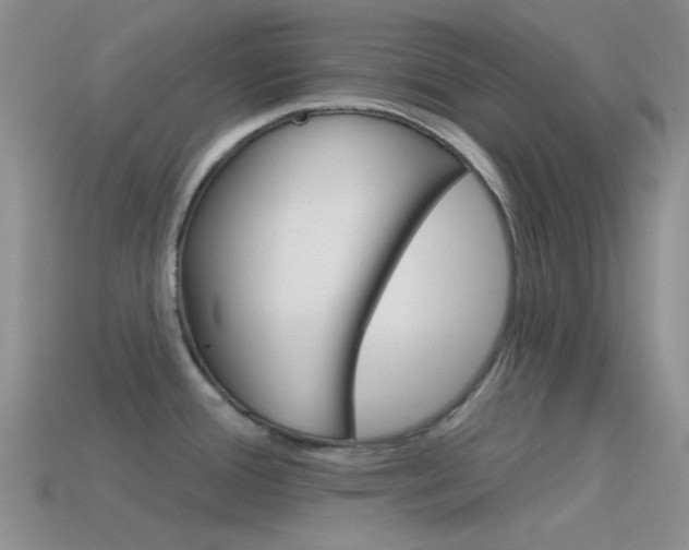 X0000115551388200911061118