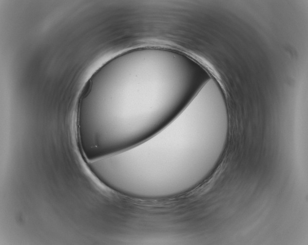 X0000115551391200911061118