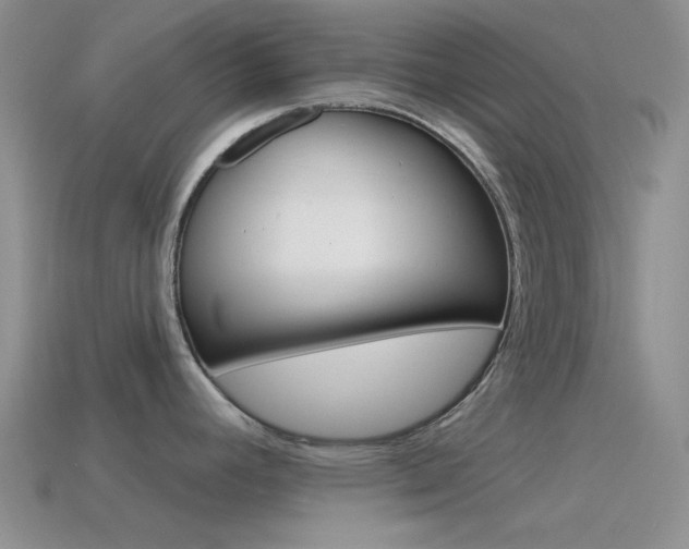 X0000115551392200911061118