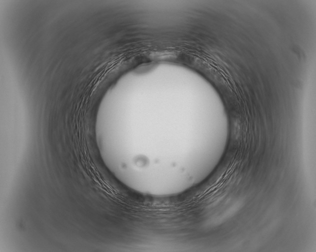 X0000115551393200911061117