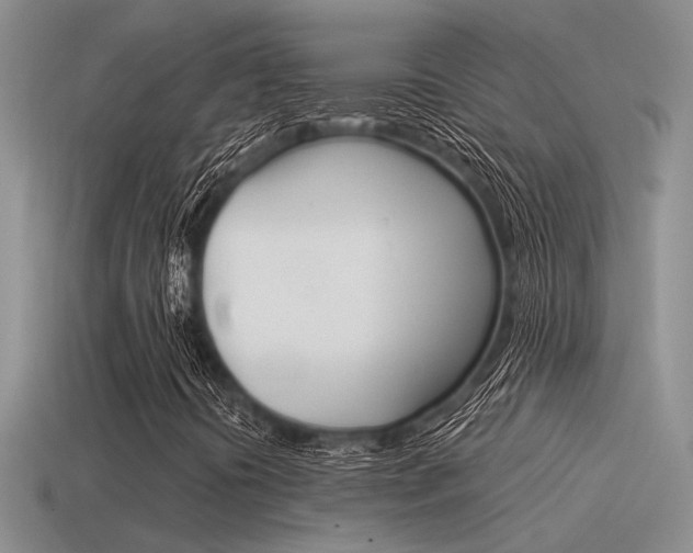 X0000115551394200911061117