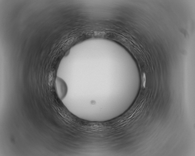 X0000115551395200911061117