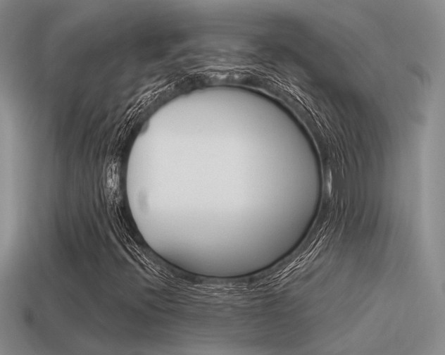 X0000115551396200911061117