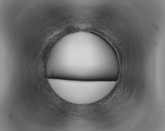 X0000115551398200911061117