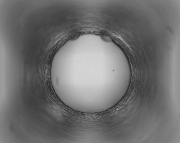 X0000115551399200911061117