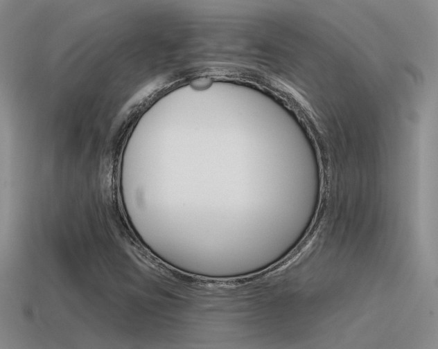 X0000115551403200911061117