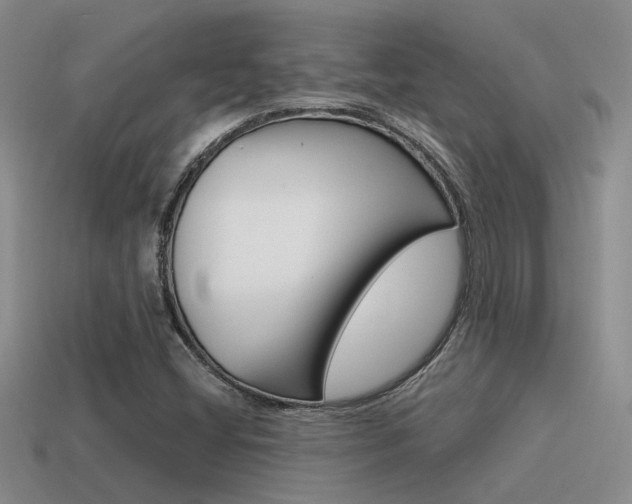 X0000115551404200911061117