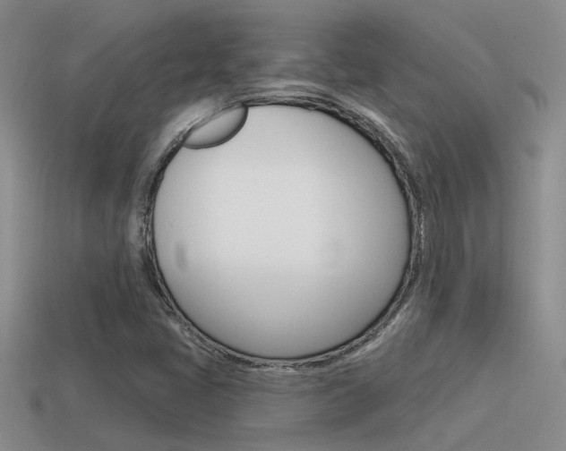 X0000115551405200911061117