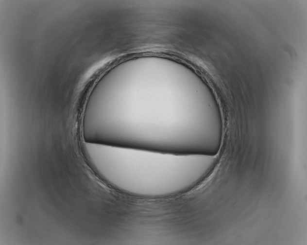 X0000115551406200911061117
