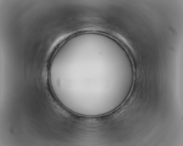 X0000115551408200911061117