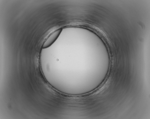 X0000115551409200911061117