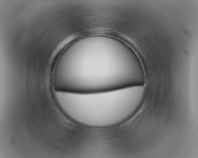 X0000115551410200911061117