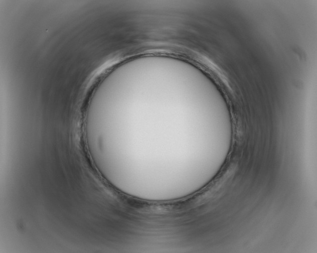 X0000115551411200911061117