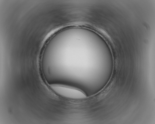 X0000115551412200911061117