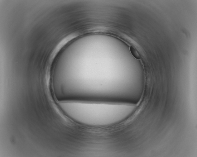 X0000115551418200911061117