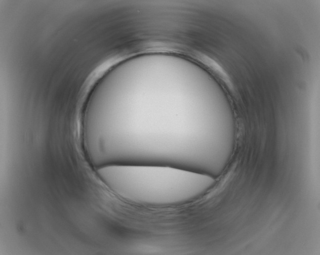 X0000115551419200911061117