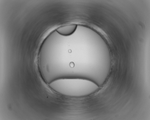 X0000115551423200911061117
