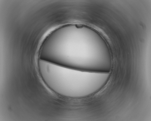 X0000115551424200911061117