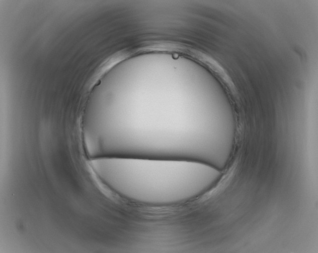 X0000115551425200911061117