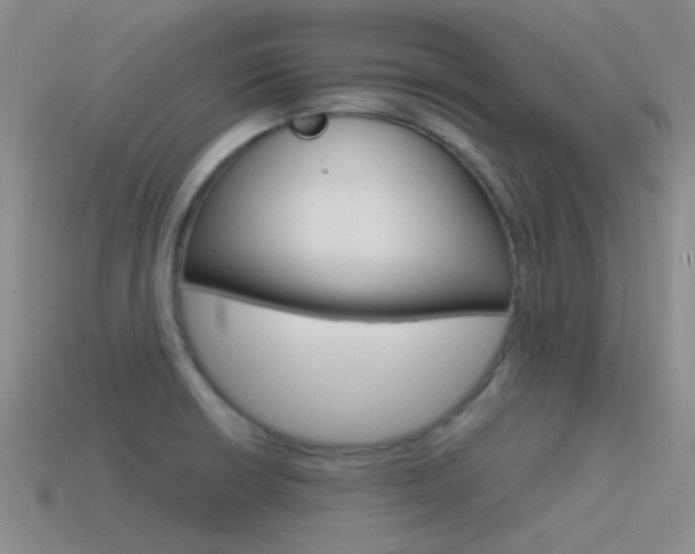 X0000115551426200911061117