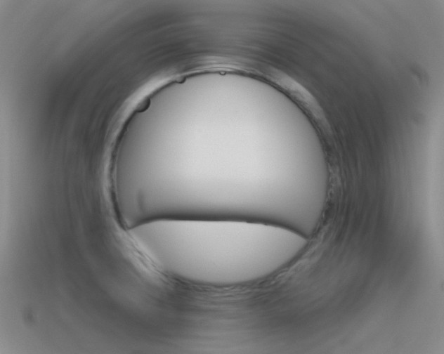X0000115551427200911061117