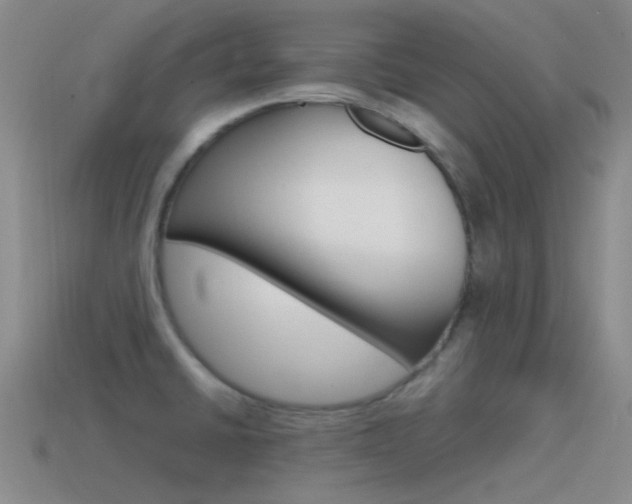 X0000115551430200911061117