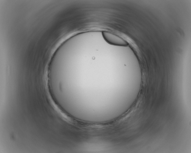 X0000115551431200911061117