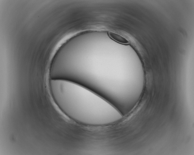 X0000115551432200911061117