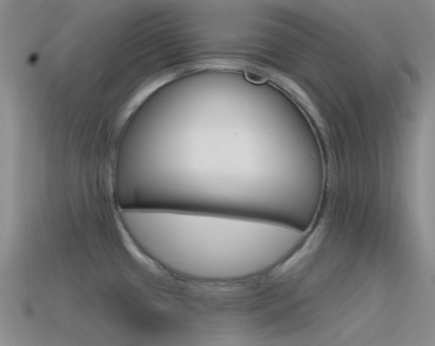X0000115551433200911061117