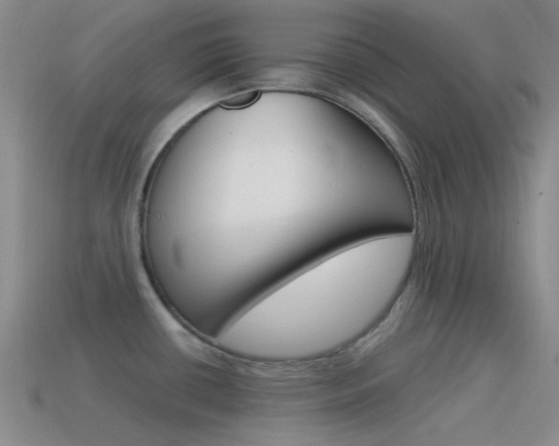 X0000115551434200911061117