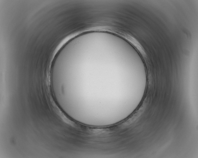 X0000115551436200911061117