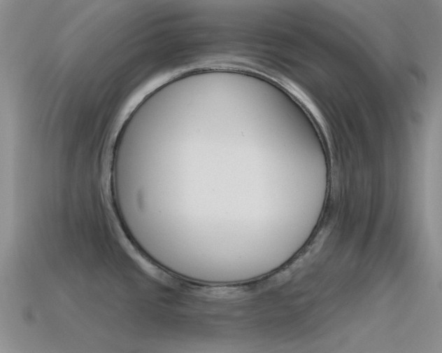 X0000115551437200911061117