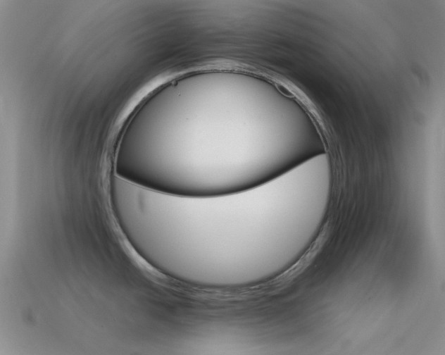 X0000115551438200911061118