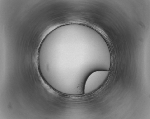 X0000115551439200911061118