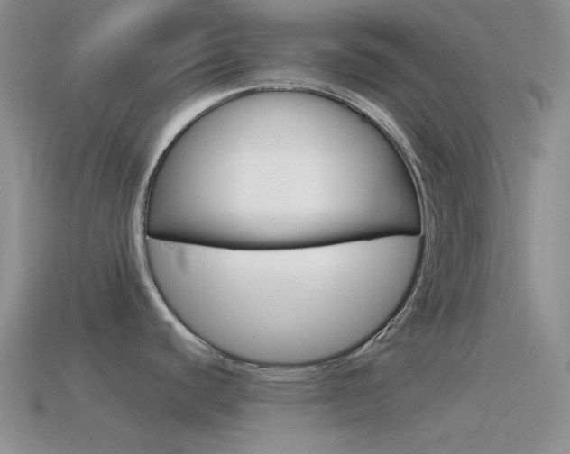 X0000115551440200911061118