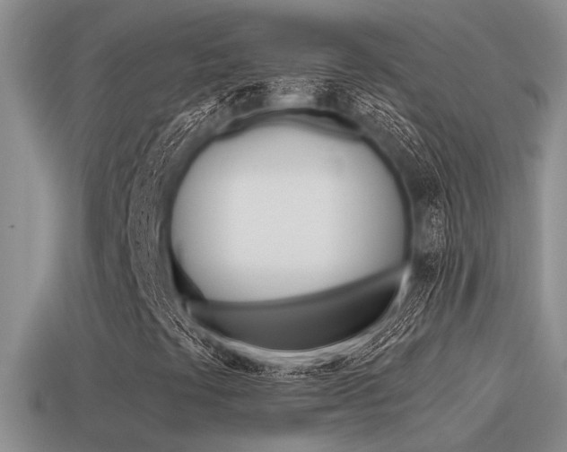 X0000115551441200911061117