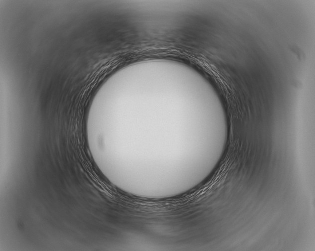X0000115551444200911061117