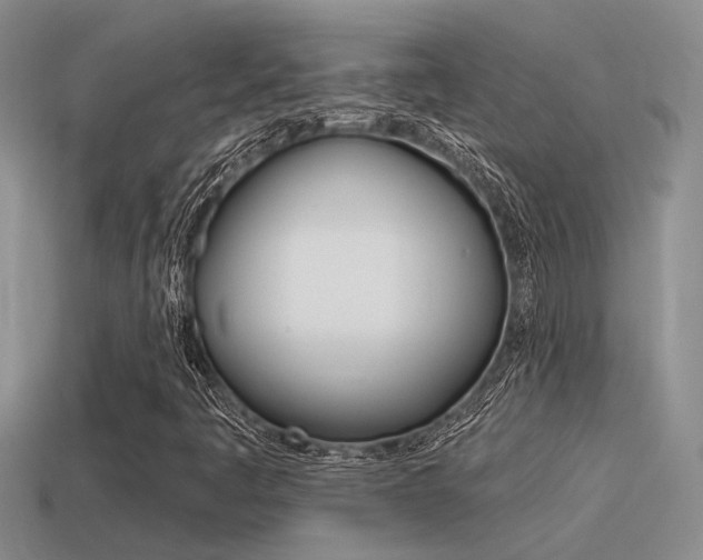 X0000115551445200911061117
