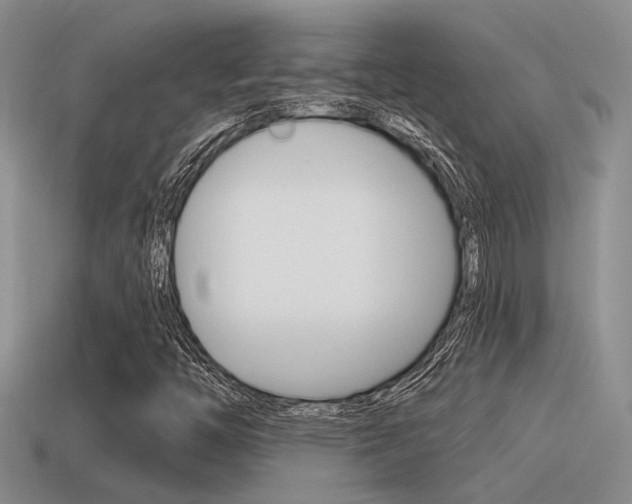 X0000115551446200911061117