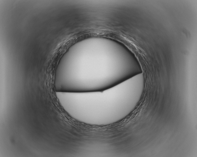X0000115551447200911061117